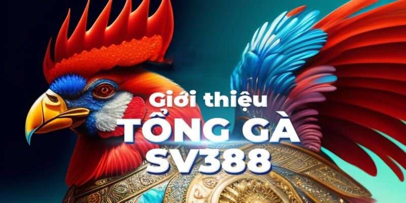 Lý do SV388 hút triệu khách hàng